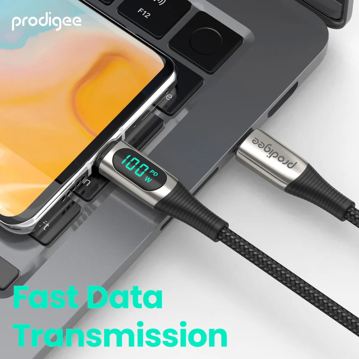 CABLE PRODIGEE ENERGEE DIGITAL DE C A C 100W